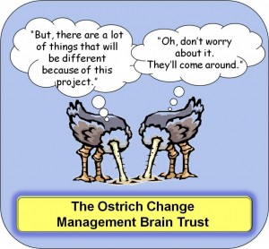Ostrich Org Change