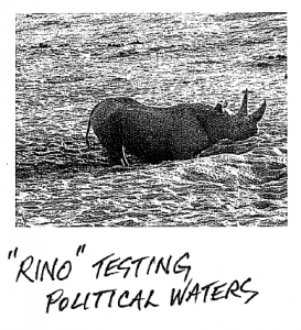 rino-testing-political-waters